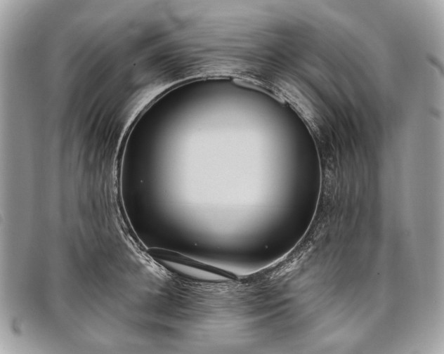 X0000098050948200804071503