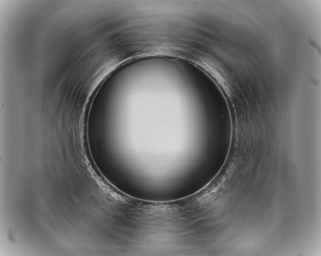 X0000098050949200804071503