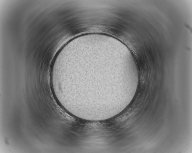 X0000098050950200804071503