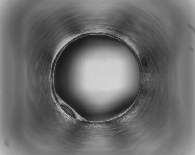 X0000098050951200804071503