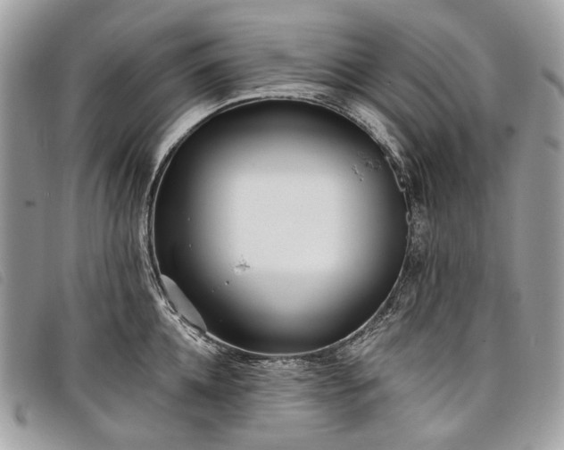 X0000098050952200804071503