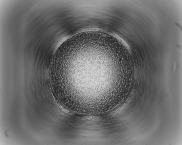 X0000098050953200804071503