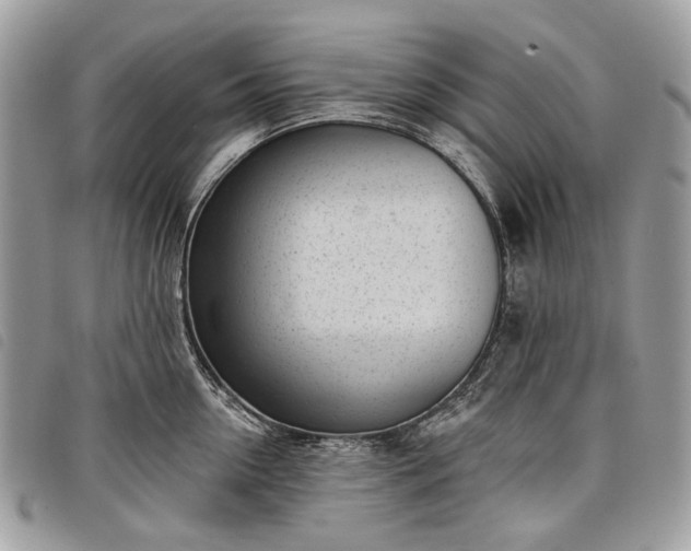 X0000098050954200804071503