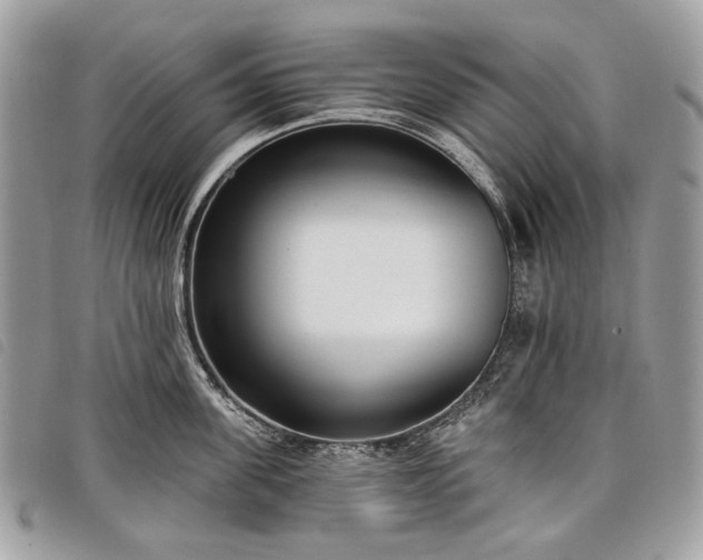 X0000098050955200804071503