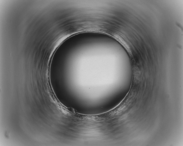 X0000098050956200804071504