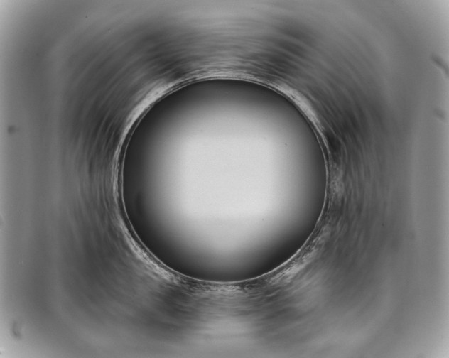 X0000098050957200804071504