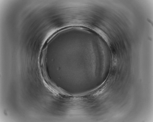 X0000098050958200804071504