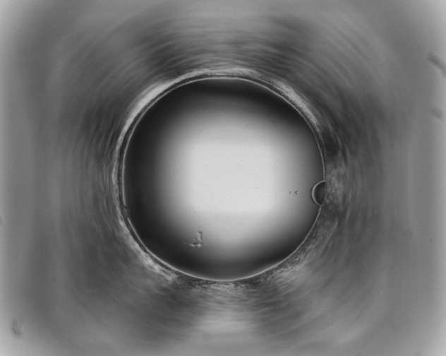 X0000098050959200804071504