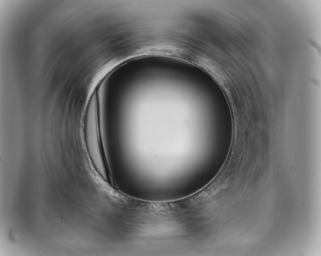 X0000098050960200804071504