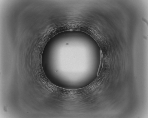 X0000098050961200804071503