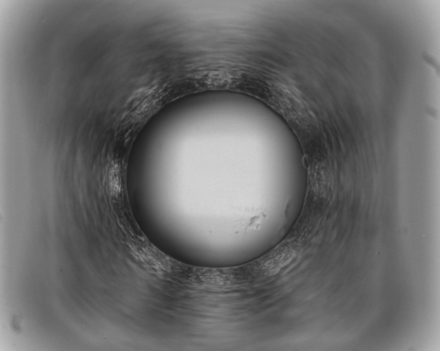 X0000098050962200804071503