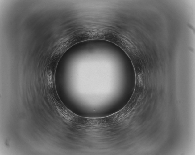 X0000098050963200804071503