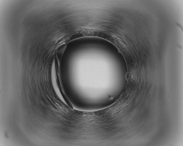 X0000098050964200804071503