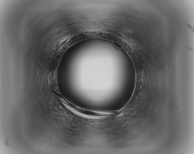 X0000098050965200804071503