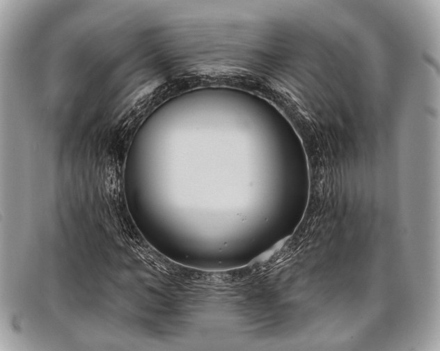 X0000098050966200804071503