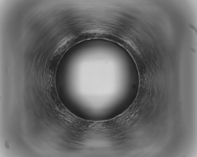 X0000098050967200804071503