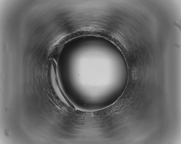 X0000098050968200804071503