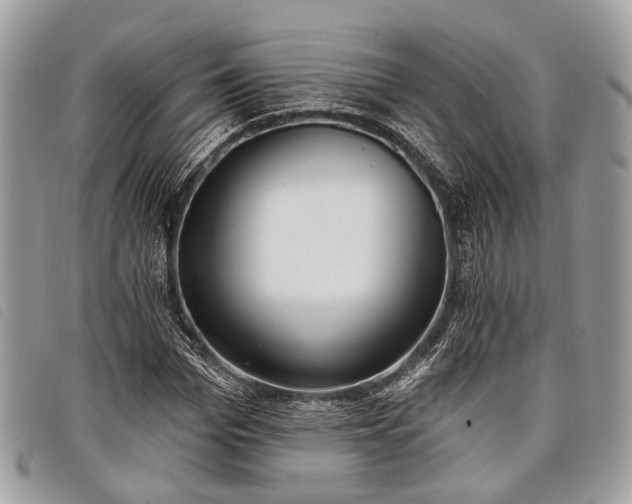 X0000098050969200804071503