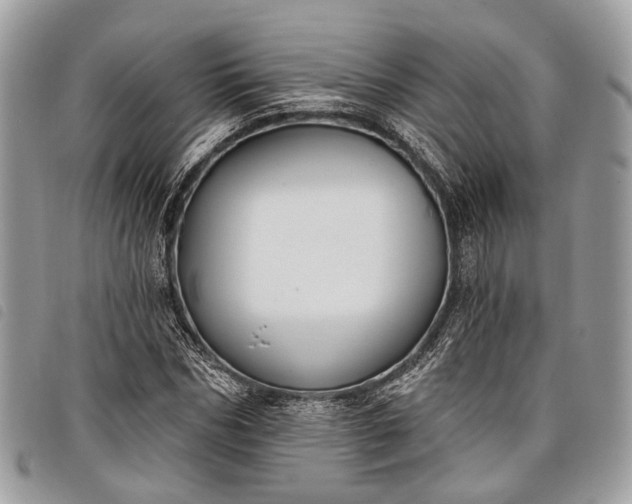 X0000098050970200804071503