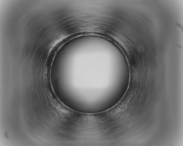 X0000098050971200804071503