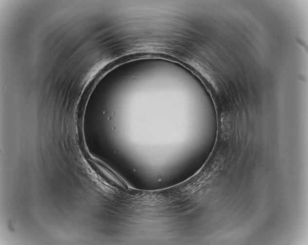 X0000098050972200804071503