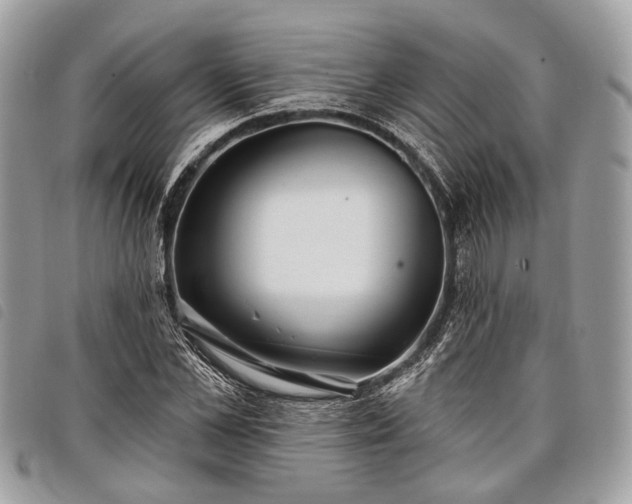 X0000098050973200804071503