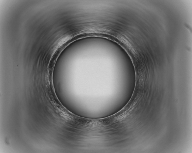 X0000098050974200804071503