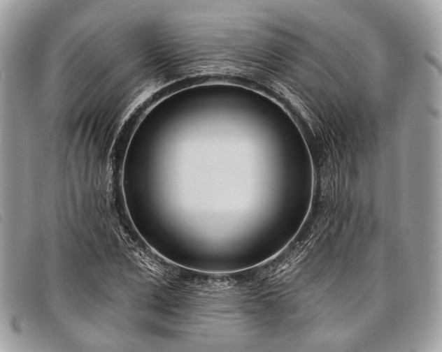 X0000098050975200804071503