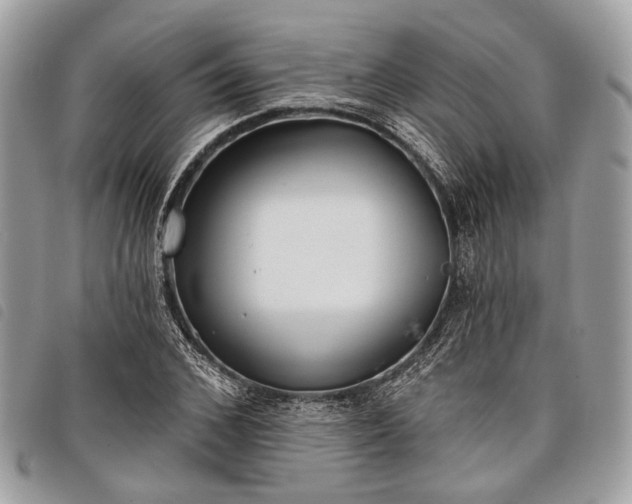 X0000098050976200804071503