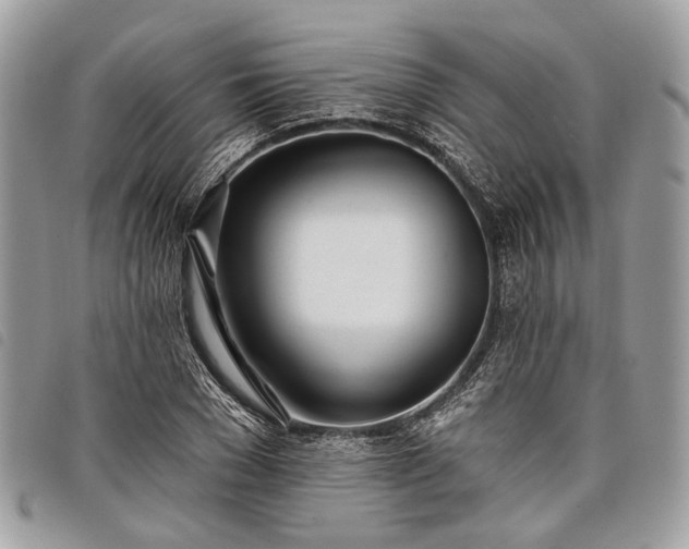 X0000098050977200804071502