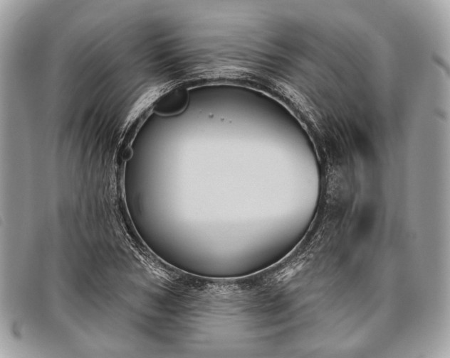 X0000098050978200804071502