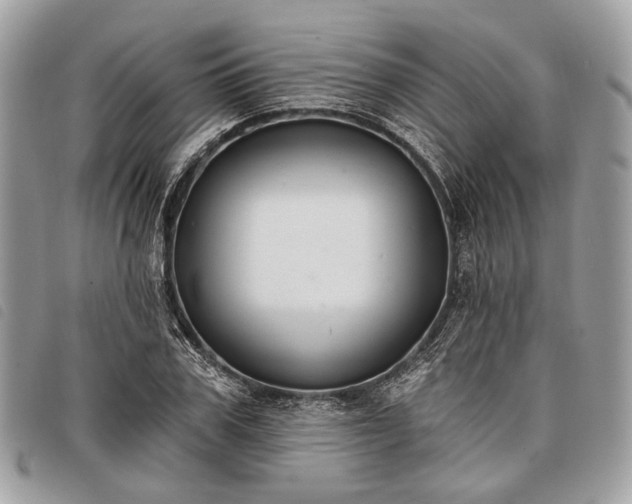 X0000098050979200804071502