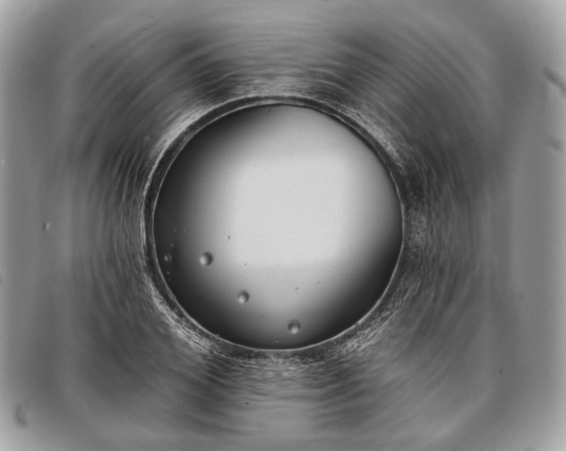 X0000098050980200804071502