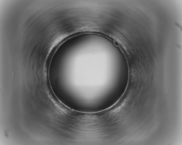 X0000098050981200804071502