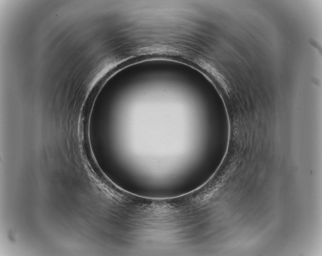 X0000098050983200804071502