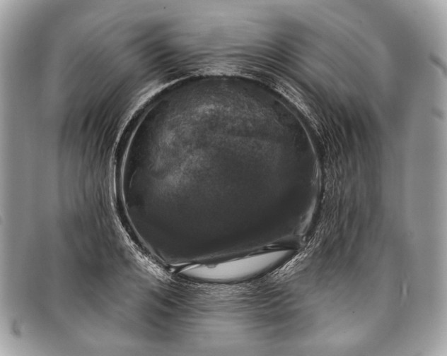 X0000098050984200804071502