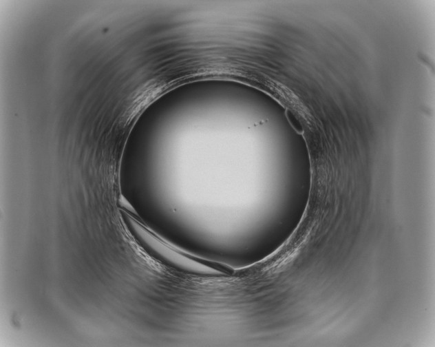 X0000098050985200804071502