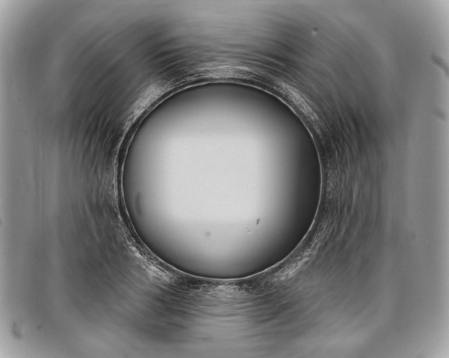 X0000098050986200804071502