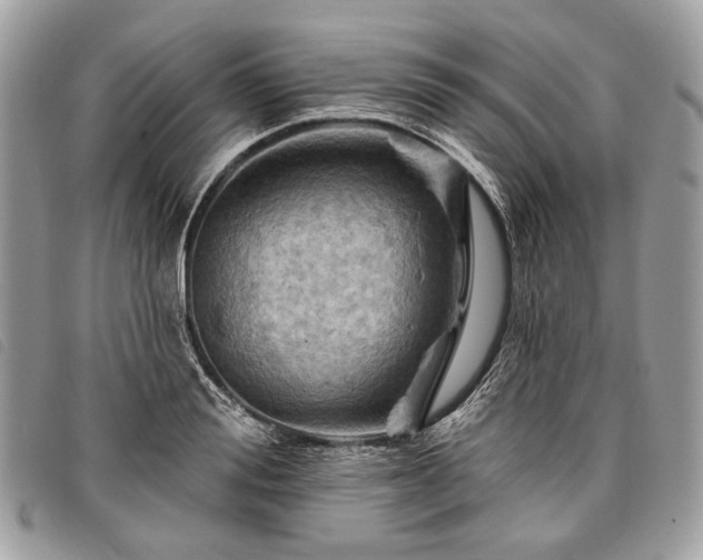 X0000098050988200804071502