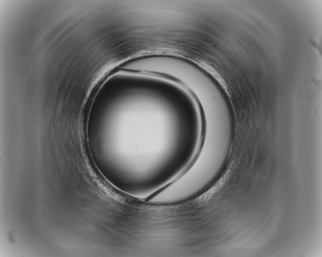 X0000098050989200804071502