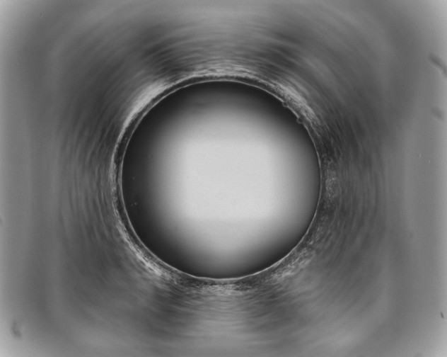 X0000098050990200804071502