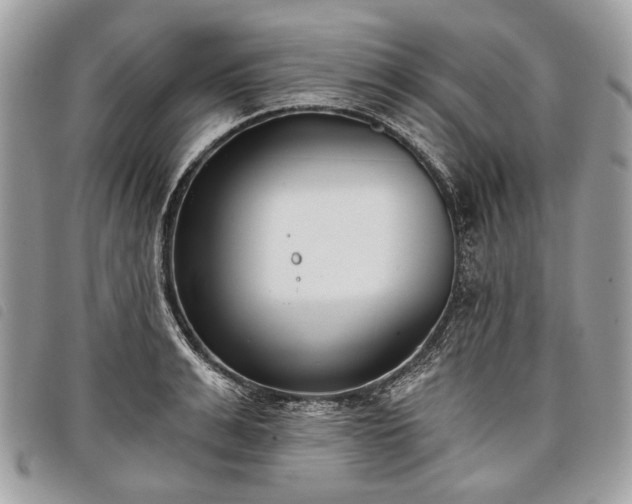 X0000098050991200804071502