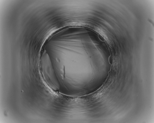 X0000098050992200804071502