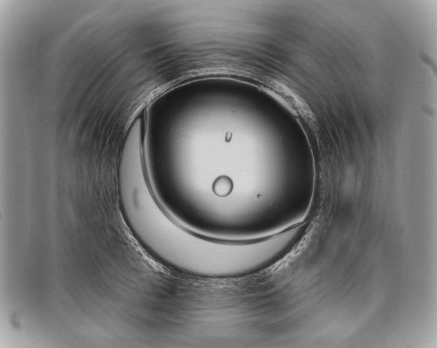 X0000098050993200804071502