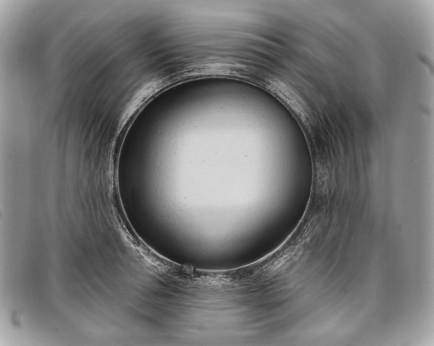 X0000098050994200804071502