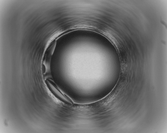 X0000098050995200804071502