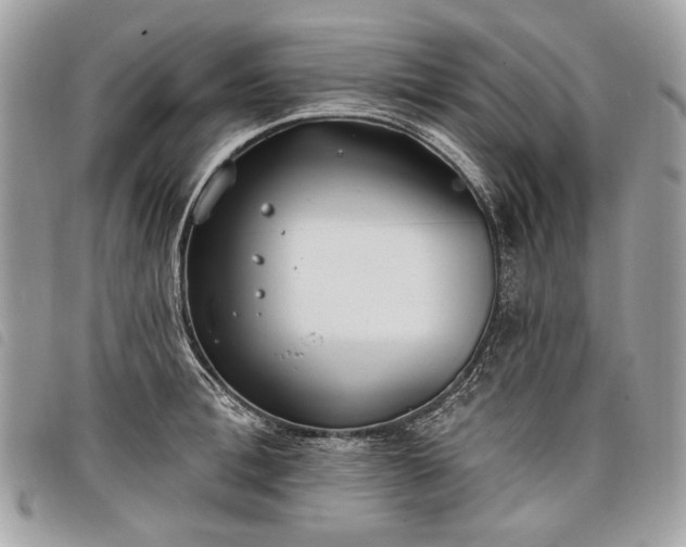 X0000098050996200804071502