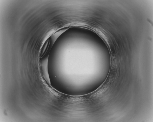 X0000098050997200804071502