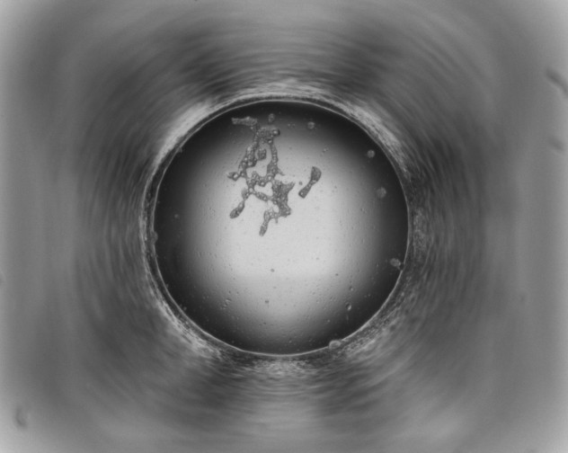 X0000098050998200804071502