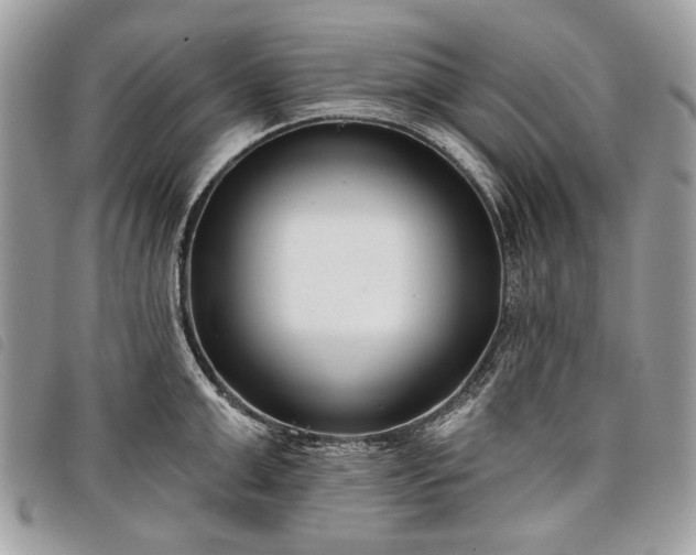 X0000098050999200804071502